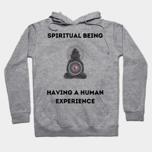 Spiritual being having a human experience Hoodie